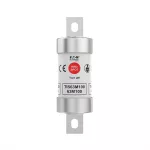 TIS63M100 63M100A 660V AC gM FUSE