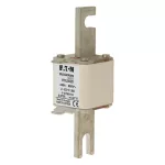 170L5020 FUSE 250A 660V 1*STN/110 AR