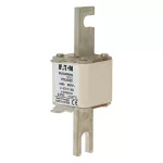 170L5020 FUSE 250A 660V 1*STN/110 AR