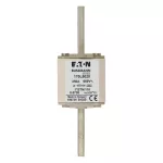 170L5020 FUSE 250A 660V 1*STN/110 AR