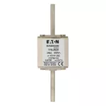 170L5020 FUSE 250A 660V 1*STN/110 AR