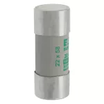 C22M20 Wkładka cylindryczna 22 x 58 mm 20A AM 690V AC