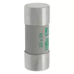 C22M20 Wkładka cylindryczna 22 x 58 mm 20A AM 690V AC