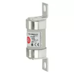 TFP200 200AMP 660V AC INDUSTRIAL FUSE