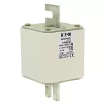 170M6148 FUSE 1000A 1250V 3/110 AR