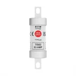 TIS63 63A 690V AC / 460V DC gG INDUSTRIAL FUSE