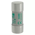C22M2 Wkładka cylindryczna 22 x 58 mm 2A AM 690V AC