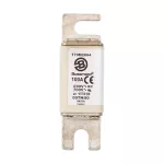 170M2664 Wkładka szybka, 100 A, AC 690 V, DIN 00, aR, DIN, IEC, nieizolowane uchwyty