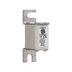 170M2661 Wkładka szybka, 50 A, AC 690 V, DIN 00, 30 x 67 x 100 mm, gR, DIN, IEC