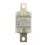 300P09C 300AMP 600V INDUSTRIAL FUSE