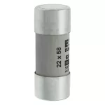 C22G63 Wkładka cylindryczna 22 x 58 mm 63A GG 690V AC
