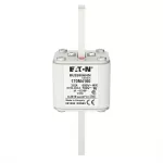 170M4160 Wkładka szybka, 315 A, AC 690 V, DIN 1, 53 x 66 x 138 mm, aR, DIN, IEC