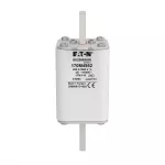 170M4982 FUSE 250A 1000V 1TN/110 AR