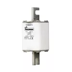170M4171 FUSE 315A 1250V 1STN/110 AR