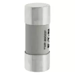 FWP-20G22F Wkładka szybka, 20 A, AC 690 V, 22 x 58, gR, IEC, UL