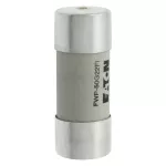 FWP-50G22FI Wkładka szybka, 50 A, AC 690 V, 22 x 58, gR, IEC, UL, wybijak