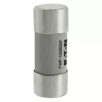 FWP-100G22F Wkładka szybka, 100 A, AC 690 V, 22 x 58, gR, IEC, UL