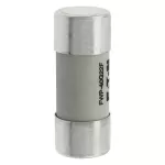 FWP-40G22F Wkładka szybka, 40 A, AC 690 V, 22 x 58, gR, IEC, UL