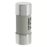 FWP-40G22F Wkładka szybka, 40 A, AC 690 V, 22 x 58, gR, IEC, UL