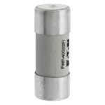 FWP-40G22FI Wkładka szybka, 40 A, AC 690 V, 22 x 58, gR, IEC, UL, wybijak