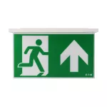 NEXI-PLEX-UU NexiTech LED szyba strzałka do góry / strzałka do góry, 30m, ISO7010