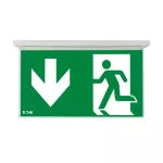 NEXI-PLEXO-DD NexiTech LED opal, szyba strzałka w dół / strzałka w dół, 30m, ISO7010