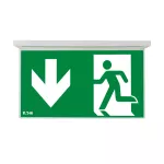 NEXI-PLEXO-DD NexiTech LED opal, szyba strzałka w dół / strzałka w dół, 30m, ISO7010