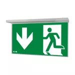 NEXI-PLEXO-DD NexiTech LED opal, szyba strzałka w dół / strzałka w dół, 30m, ISO7010