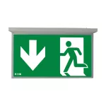 NEXI-PLEXO-DD NexiTech LED opal, szyba strzałka w dół / strzałka w dół, 30m, ISO7010