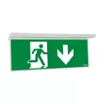 NEXI-PLEX-20-DD NexiTech LED szyba strzałka w dół / strzałka w dół, 20m, ISO7010