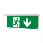 NEXI-PLEX-20-DD NexiTech LED szyba strzałka w dół / strzałka w dół, 20m, ISO7010