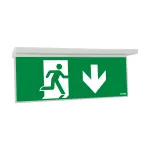 NEXI-PLEX-20-DD NexiTech LED szyba strzałka w dół / strzałka w dół, 20m, ISO7010