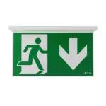 NEXI-PLEXO-DB NexiTech LED opal, szyba strzałka w dół / zaślepka, 30m, ISO7010