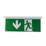 NEXI-PLEXO-20-DD NexiTech LED opal, szyba strzałka w dół / strzałka w dół, 20m, ISO7010