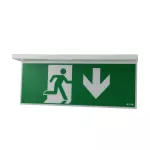 NEXI-PLEXO-20-DD NexiTech LED opal, szyba strzałka w dół / strzałka w dół, 20m, ISO7010