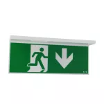 NEXI-PLEXO-20-DD NexiTech LED opal, szyba strzałka w dół / strzałka w dół, 20m, ISO7010