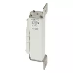 170M2054 FUSE 125A 2000VDC 1C/A170 SST AR