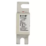 170L4029 FUSE 63A 660V 00/80 AR