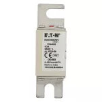 170L4029 FUSE 63A 660V 00/80 AR