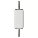 170L3839 160A 1000V DIN 0 AR