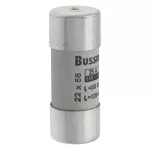 C22G25S Wkładka cylindryczna z wybijakiem, 22 x 58 25A GG 690V AC