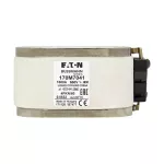 170T8142 FUSE 3000A 500V 4BKN/60 AR