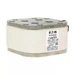 170T8142 FUSE 3000A 500V 4BKN/60 AR