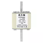 170L5190 FUSE 500A 660V 1/80 AR