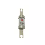 TBC63M100 63AMP 415V AC / 250V DC INDUSTRIAL FUSE