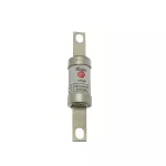 TBC63M100 63AMP 415V AC / 250V DC INDUSTRIAL FUSE