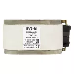 170M7191 FUSE 4000A 600V 4PKN/60 AR