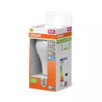 Lampa LED STAR CLASSIC A 19W 865 Frosted E27