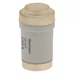 100NZ03 Wkładka D03 100A T GL/GG 400VAC M30