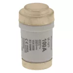 100NZ03 Wkładka D03 100A T GL/GG 400VAC M30